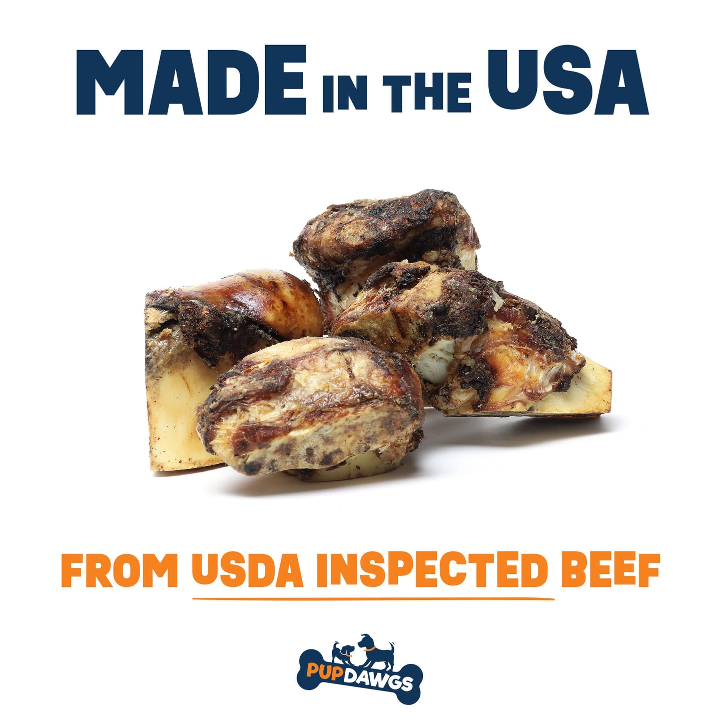 Beef Femur Bones