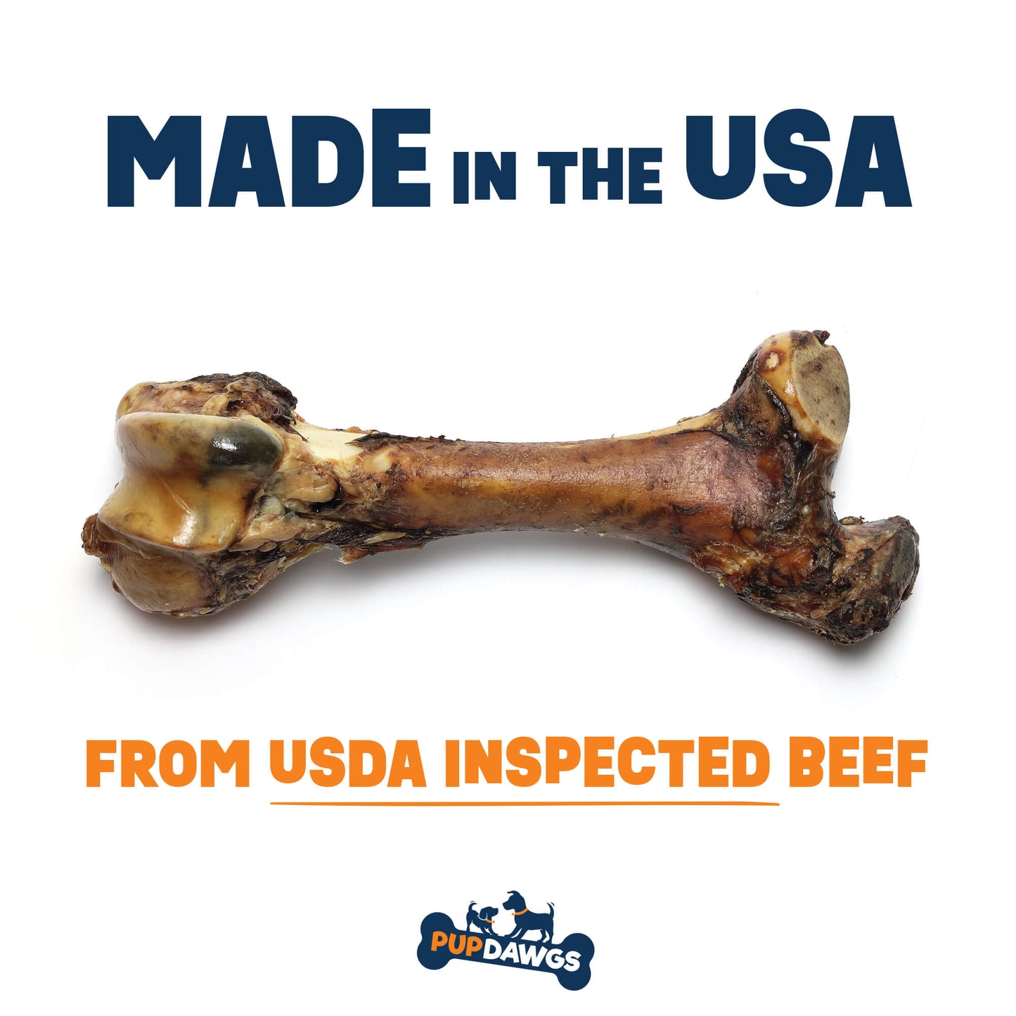 Beef Femur Bone