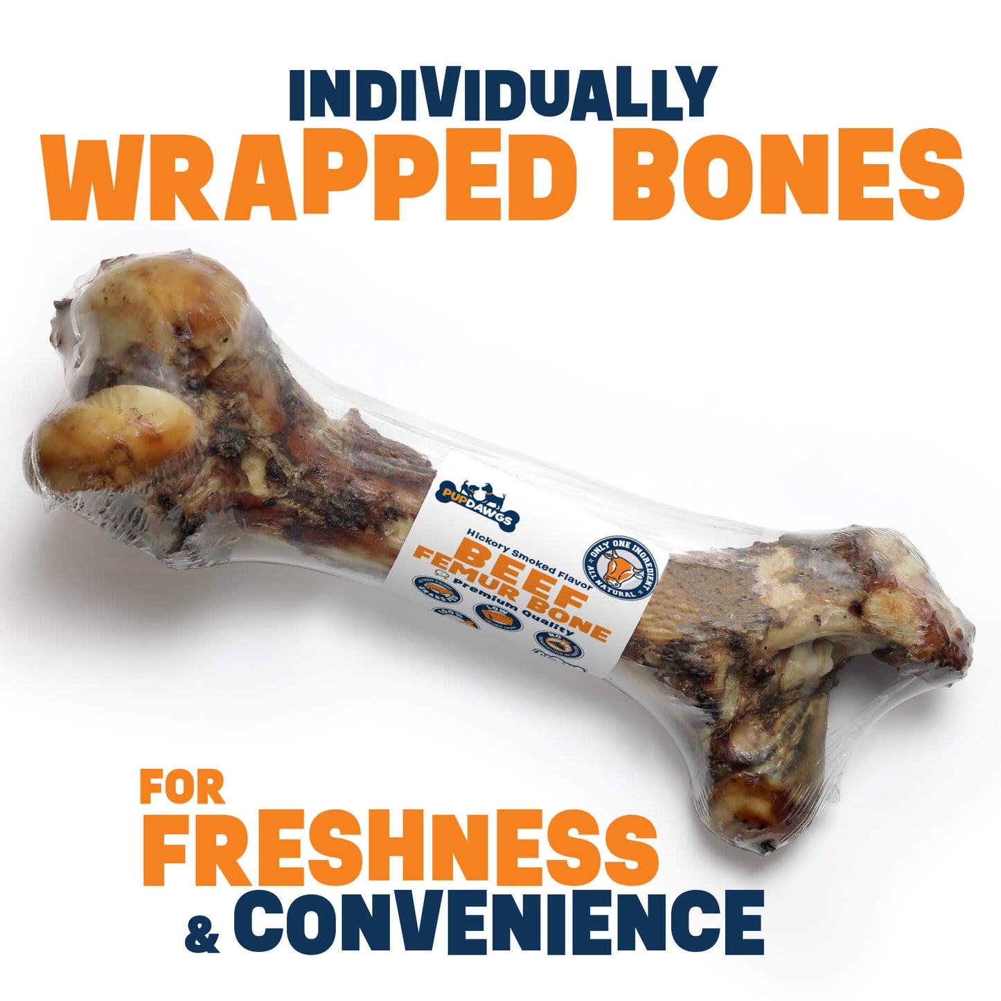 Beef Femur Bone